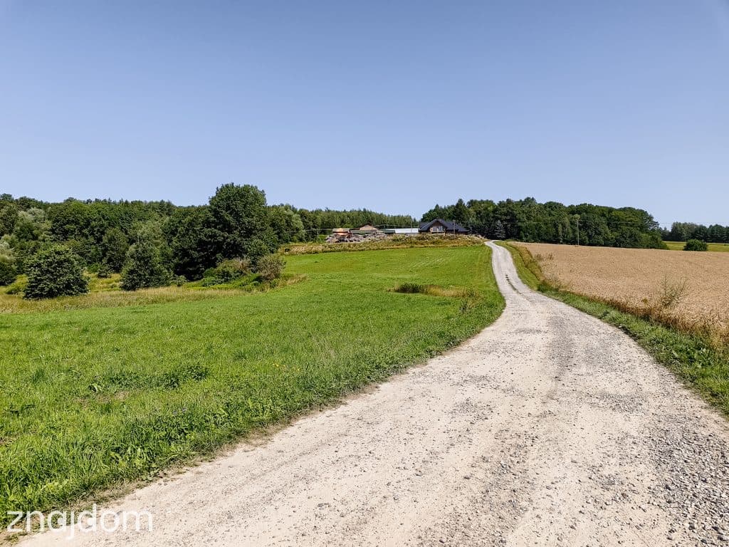 Działka budowlana 25 arów + 4 ha ziemi rolnej – Joniny - zdjęcie 3