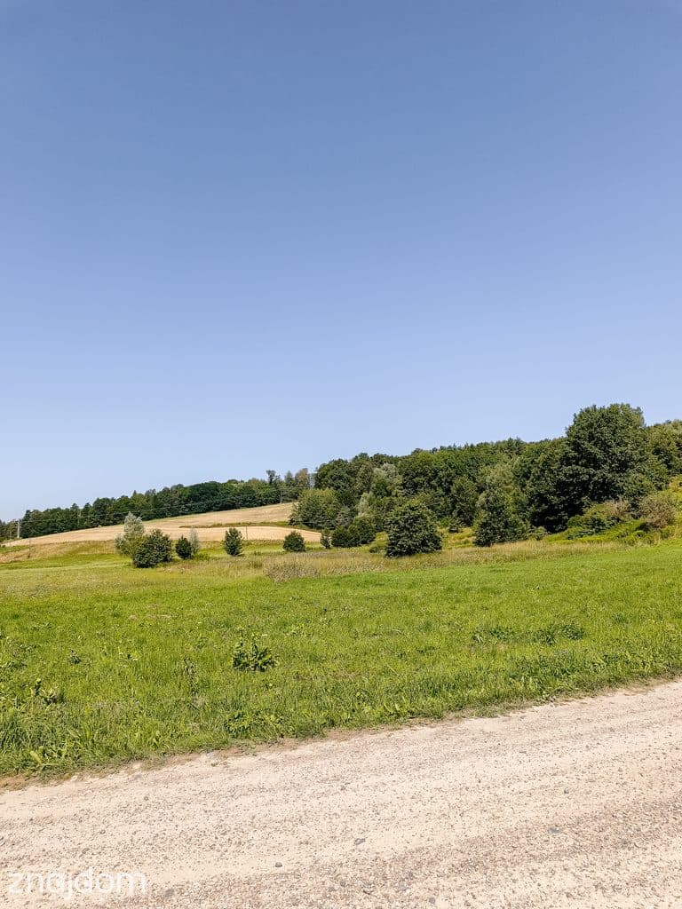 Działka budowlana 25 arów + 4 ha ziemi rolnej – Joniny - zdjęcie 5