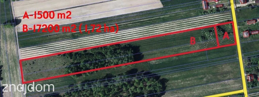 Działka budowlana 15 ar Kozioł g. Baranów - zdjęcie 2
