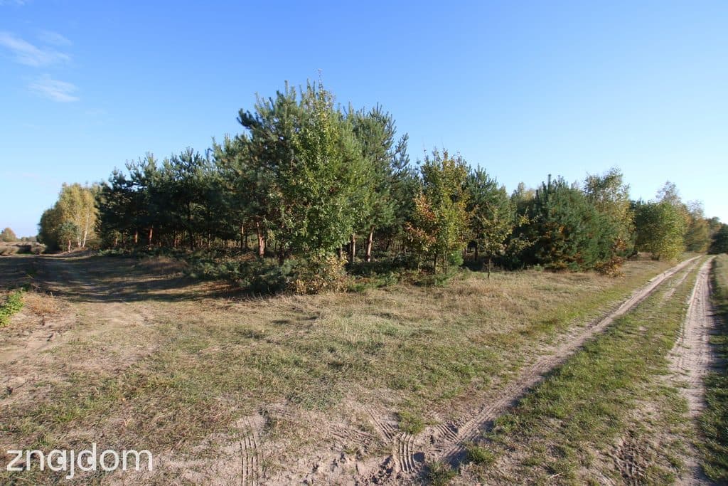 Działka budowlana 15 ar Kozioł g. Baranów - zdjęcie 9
