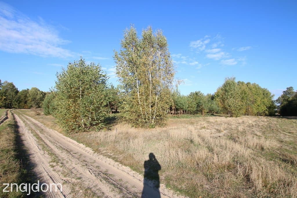 Działka budowlana 15 ar Kozioł g. Baranów - zdjęcie 10