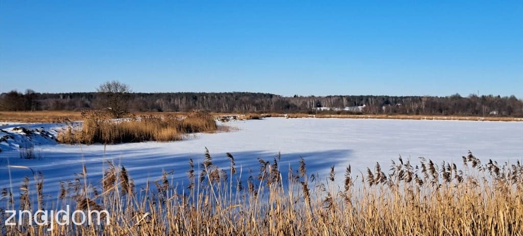 Piękna działka rolno-budowlana, Żminne, Parczew. - zdjęcie 6