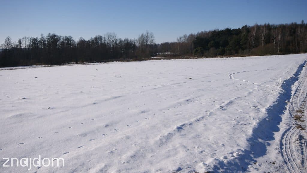 Piękna działka rolno-budowlana, Żminne, Parczew. - zdjęcie 8