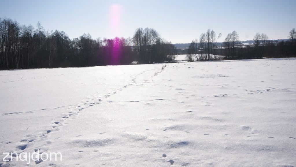 Piękna działka rolno-budowlana, Żminne, Parczew. - zdjęcie 9