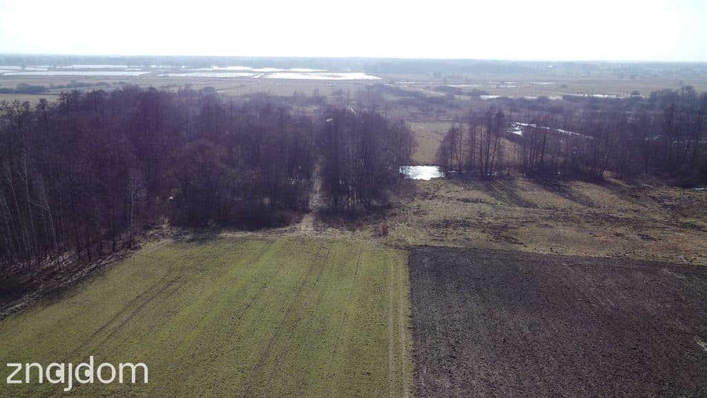 Piękna działka rolno-budowlana, Żminne, Parczew. - zdjęcie 11