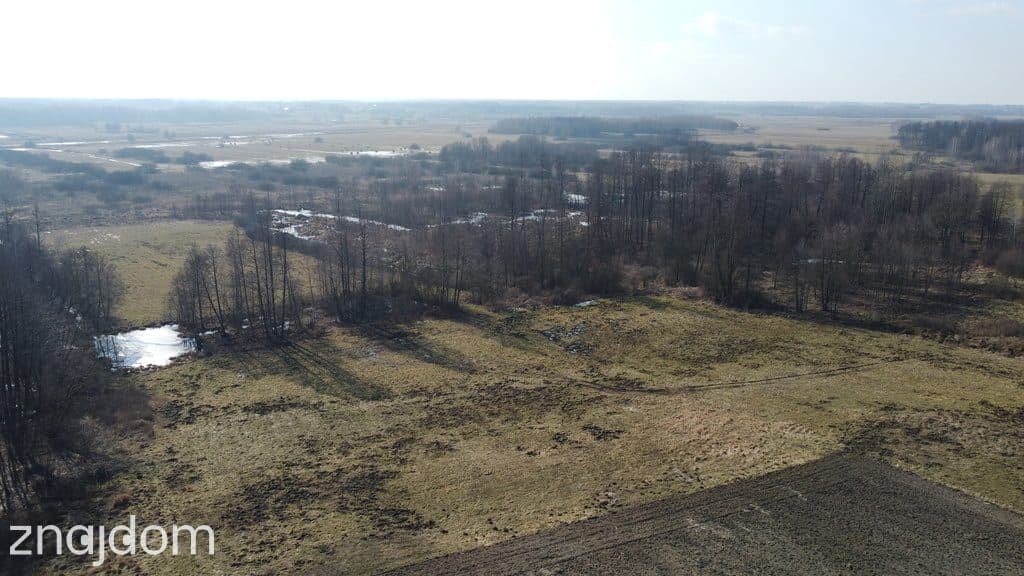 Piękna działka rolno-budowlana, Żminne, Parczew. - zdjęcie 12