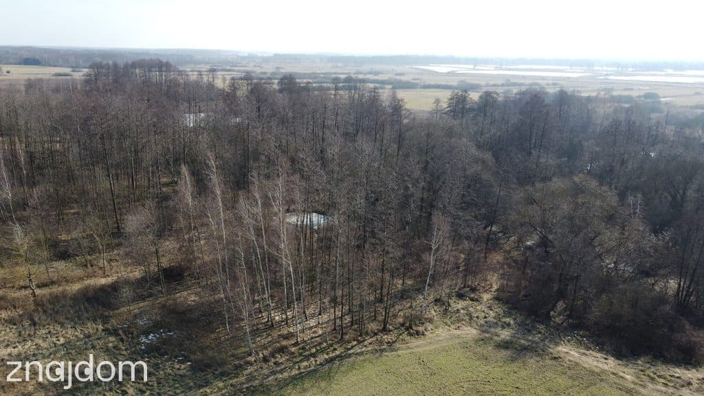Piękna działka rolno-budowlana, Żminne, Parczew. - zdjęcie 13