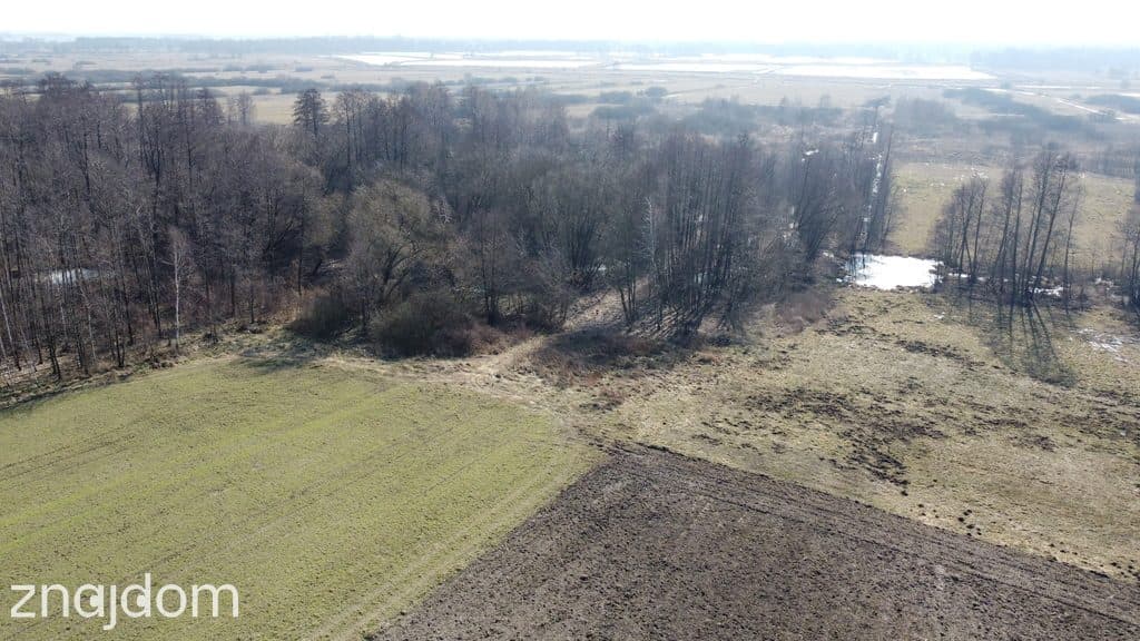 Piękna działka rolno-budowlana, Żminne, Parczew. - zdjęcie 14