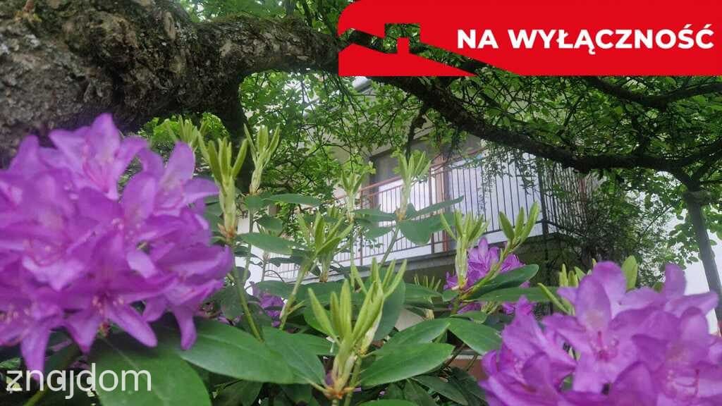Dom w uroczym zakątku, pośród lasów i górek - zdjęcie 19