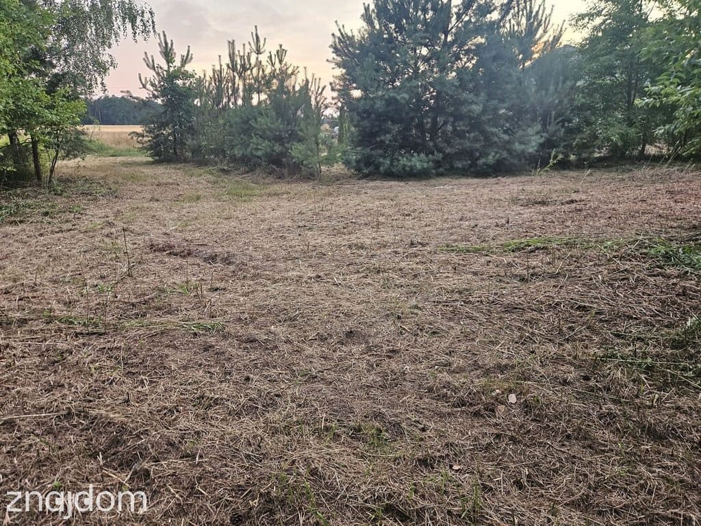 Działka budowlana min 20 arów Dąbrowa gm. Ludwin - zdjęcie 4