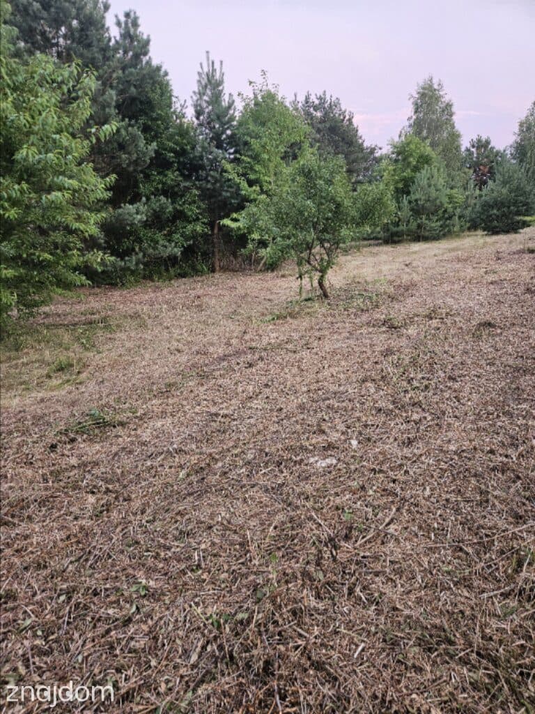Działka budowlana min 20 arów Dąbrowa gm. Ludwin - zdjęcie 8