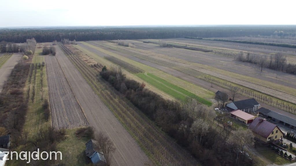 Siedlisko 3000 m2 w Boiskach gm. Solec nad Wisłą. - zdjęcie 8