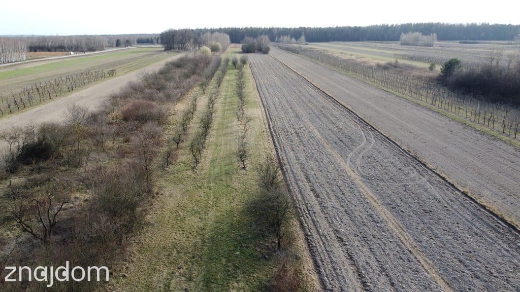 Siedlisko 3000 m2 w Boiskach gm. Solec nad Wisłą. - zdjęcie 11