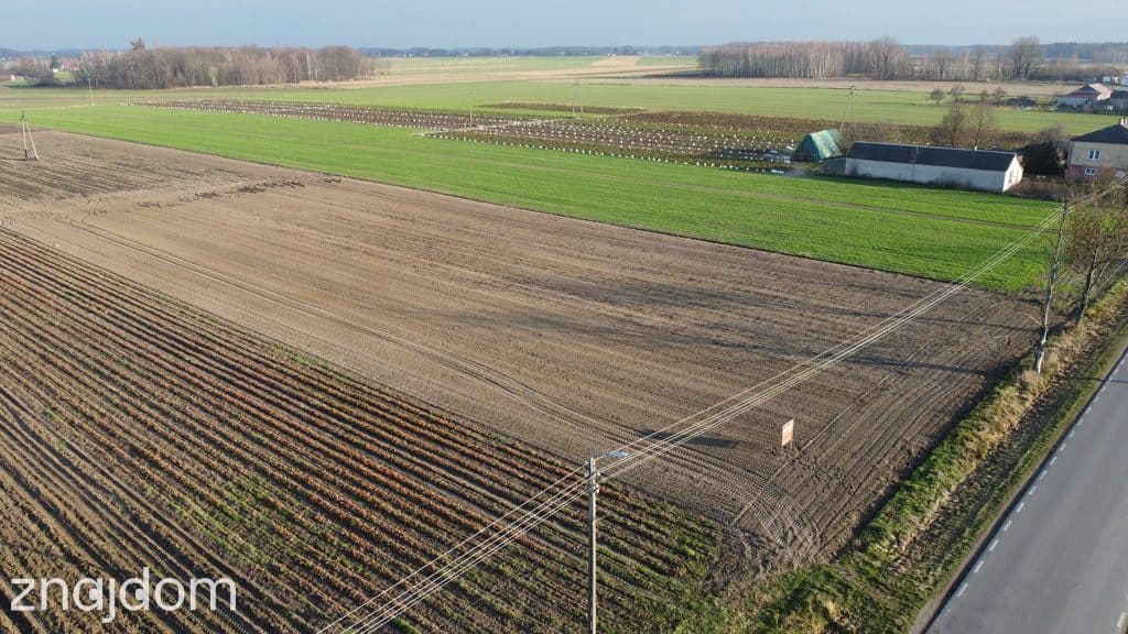 Działka z WZ w Helenowie/Policzna 16 km od Puław - zdjęcie 4