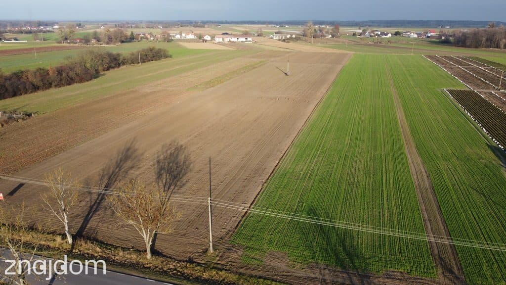 Działka z WZ w Helenowie/Policzna 16 km od Puław - zdjęcie 6