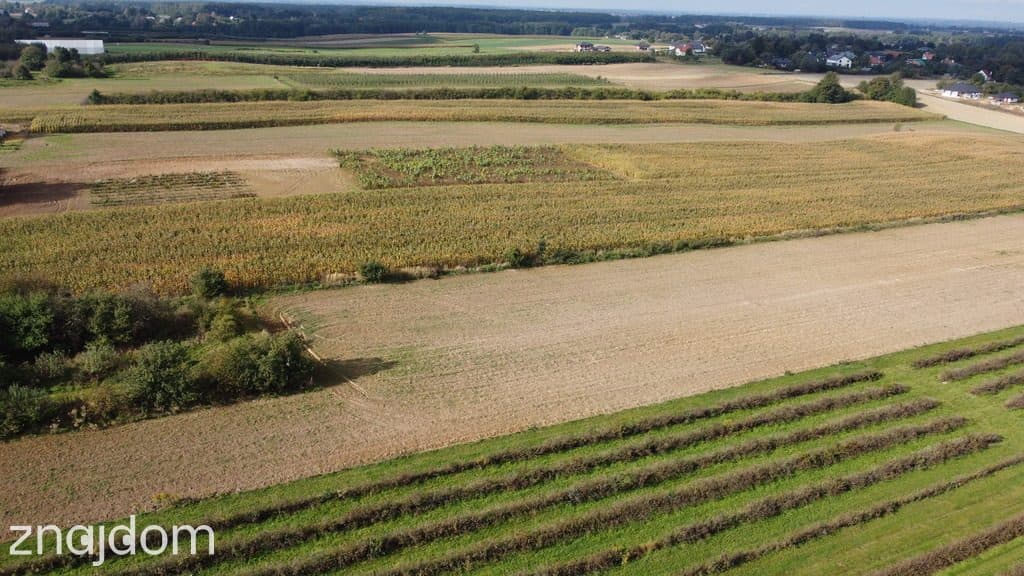 Działka, Motycz, 8.5ar, budownictwo jednorodzinne - zdjęcie 4