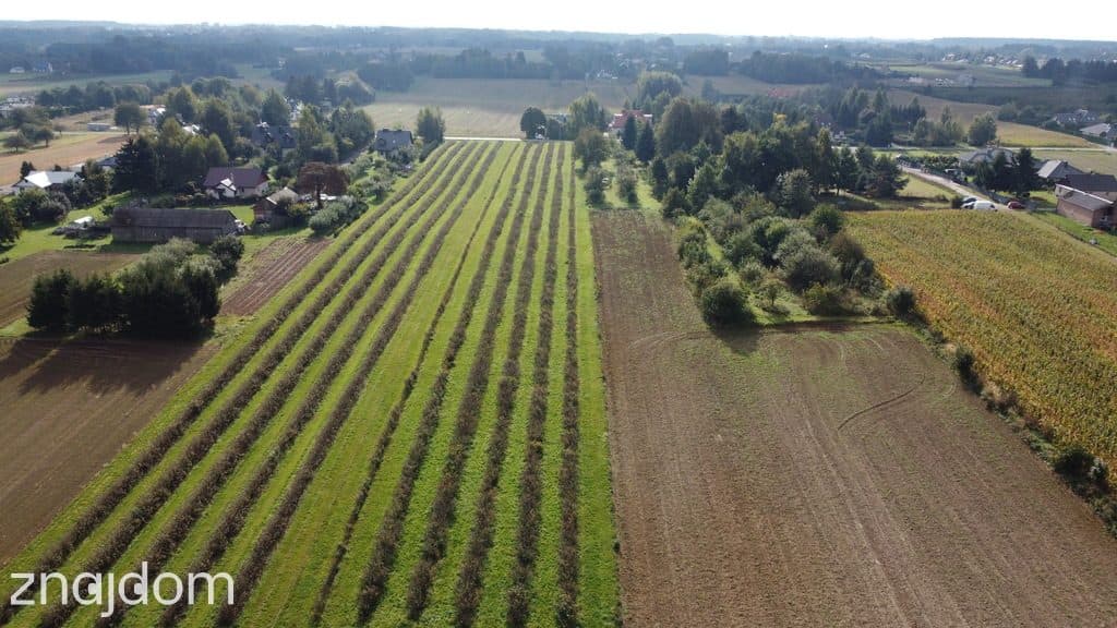 Działka, Motycz, 8.5ar, budownictwo jednorodzinne - zdjęcie 8