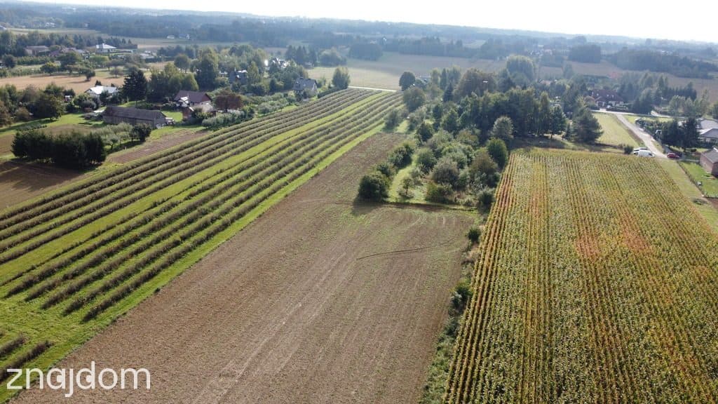 Działka, Motycz, 8.5ar, budownictwo jednorodzinne - zdjęcie 9