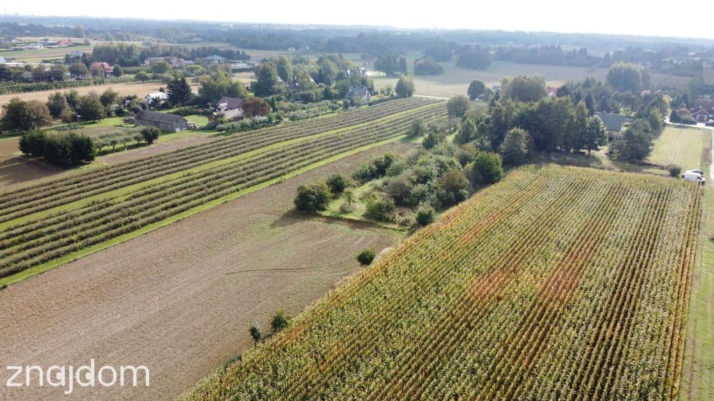 Działka, Motycz, 8.5ar, budownictwo jednorodzinne - zdjęcie 11