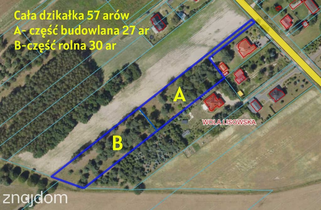 Duża działka 0,6 ha rolno budowlana Wola Lisowska