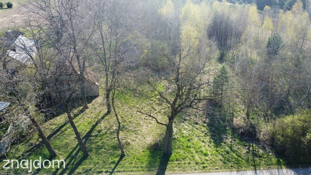 Dziełka rolna w Borowcu gm. Ciepielów pow. lipski. - zdjęcie 2