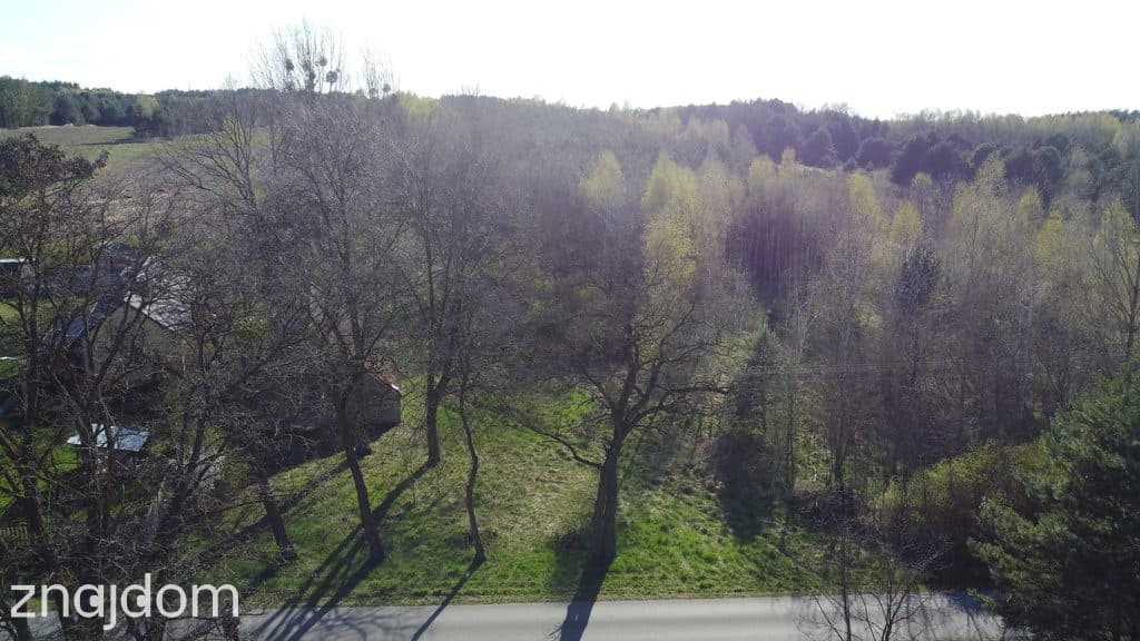 Dziełka rolna w Borowcu gm. Ciepielów pow. lipski. - zdjęcie 3