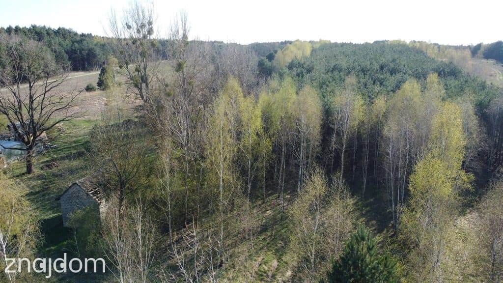 Dziełka rolna w Borowcu gm. Ciepielów pow. lipski. - zdjęcie 6
