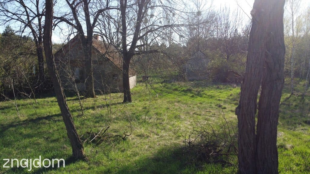 Dziełka rolna w Borowcu gm. Ciepielów pow. lipski. - zdjęcie 8