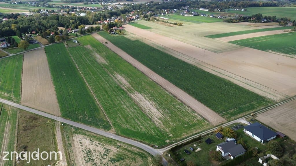 Działka budowlana, Jabłonna Pierwsza 24 ar, media - zdjęcie 7