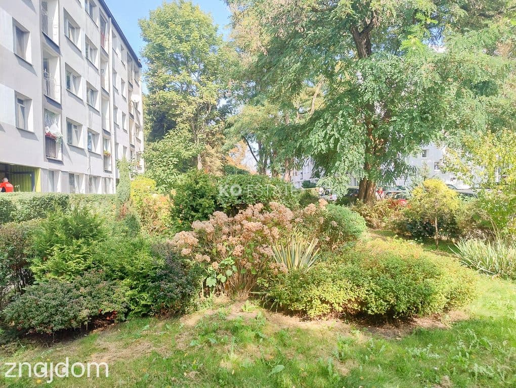 BISKUPIN | 2 POKOJE | LOGGIA | INWESTYCJA | 46,85 M2 - zdjęcie 17