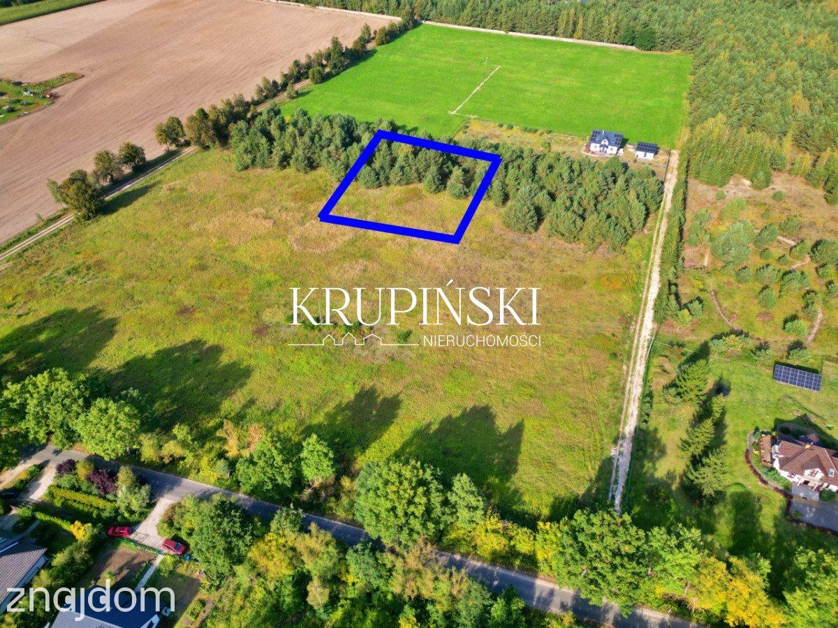 Piękna działka w Zamku Bierzgłowskim! - zdjęcie 7