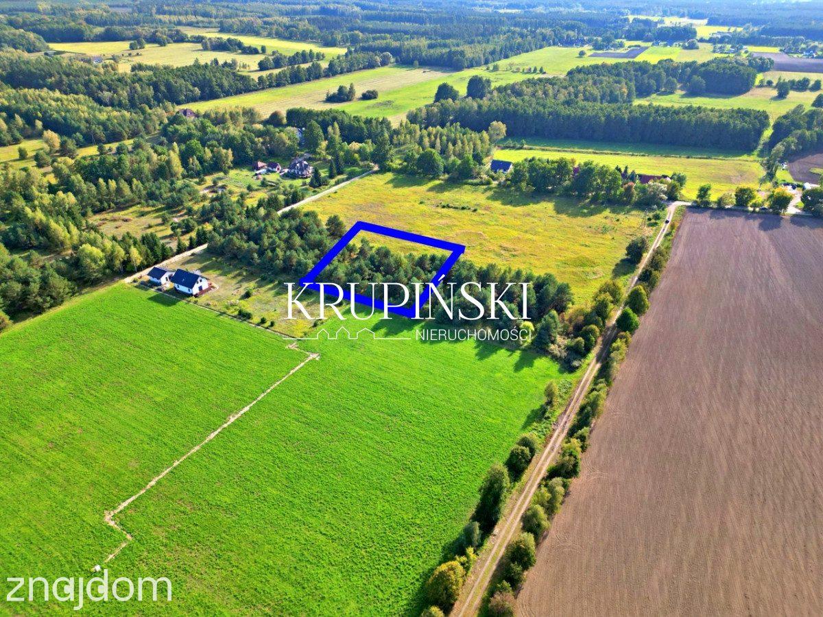 Piękna działka w Zamku Bierzgłowskim! - zdjęcie 10