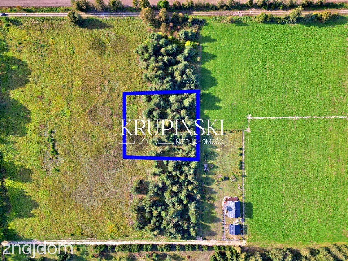 Piękna działka w Zamku Bierzgłowskim! - zdjęcie 4