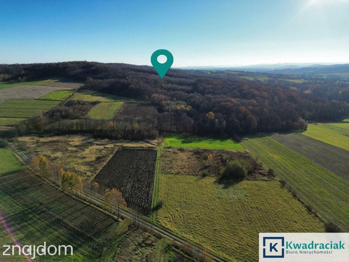 Działka 61 ar – widokowa, leśno-rolna - zdjęcie 4