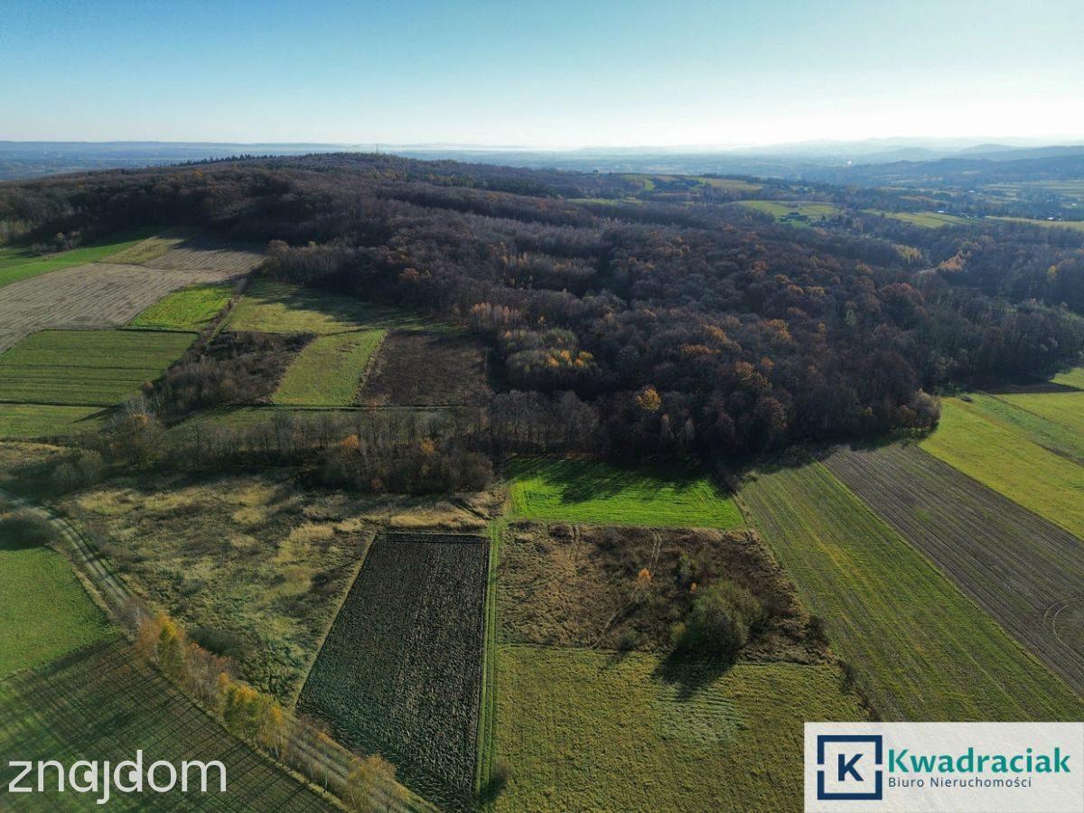 Działka 61 ar – widokowa, leśno-rolna - zdjęcie 6