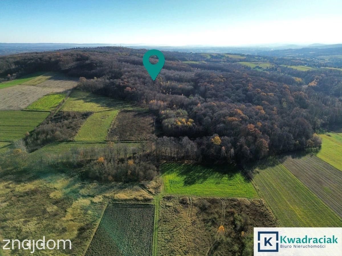 Działka 61 ar – widokowa, leśno-rolna