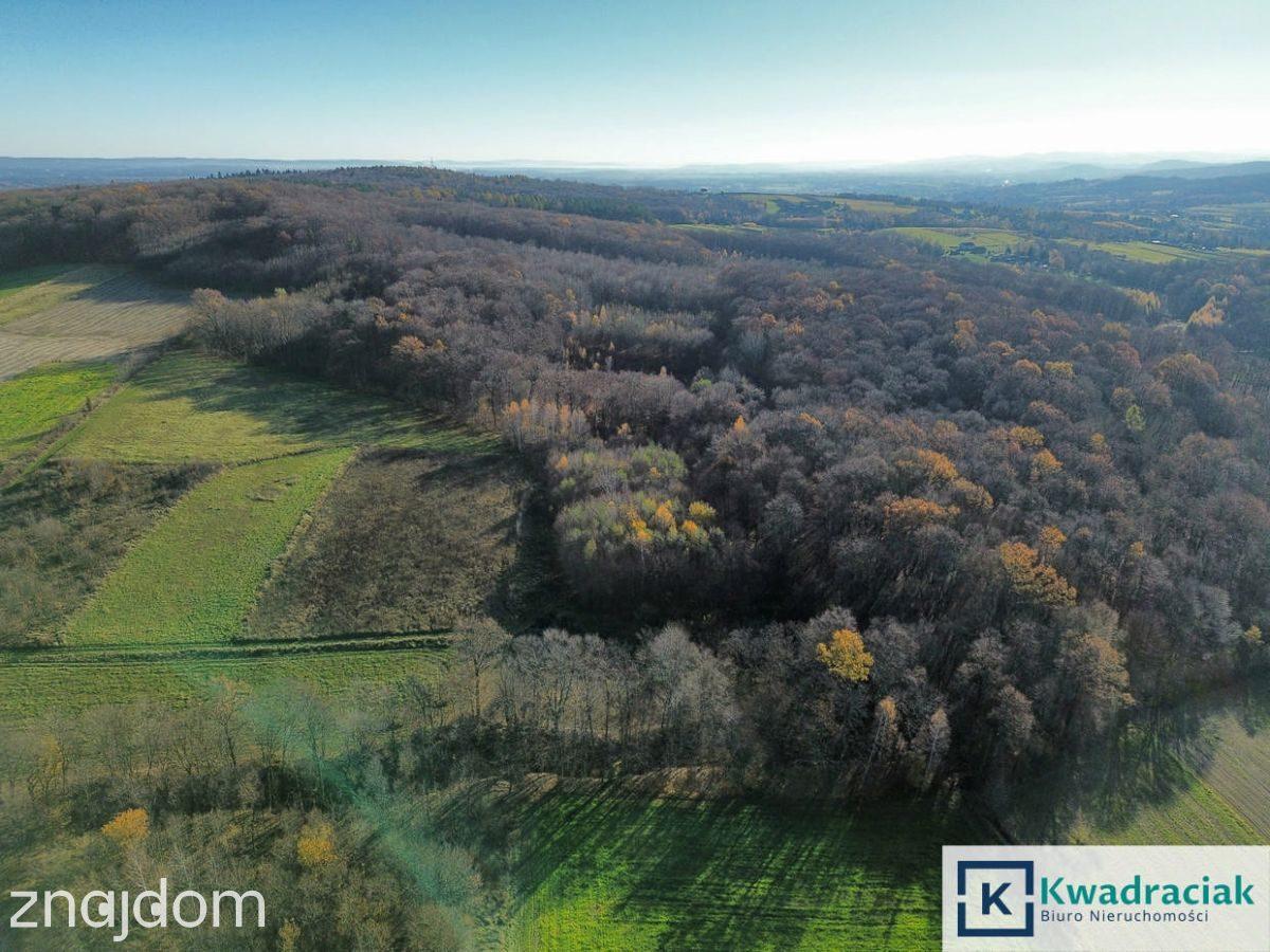 Działka 61 ar – widokowa, leśno-rolna - zdjęcie 7