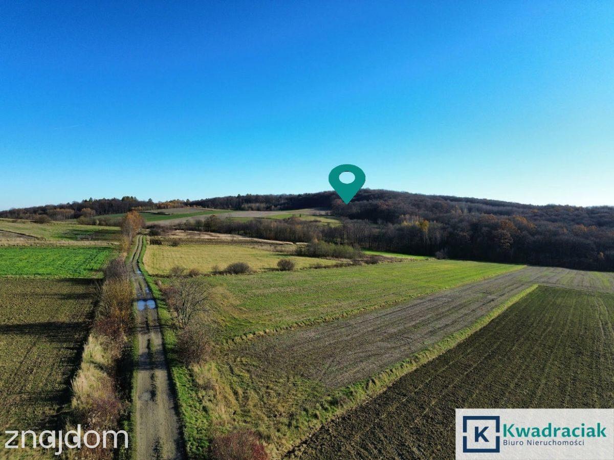 Działka 61 ar – widokowa, leśno-rolna - zdjęcie 8