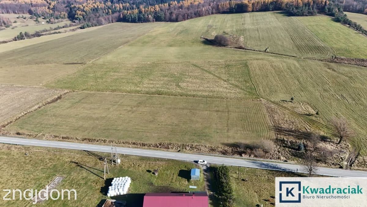 Piękna, budowlana działka w Zdyni! - zdjęcie 15