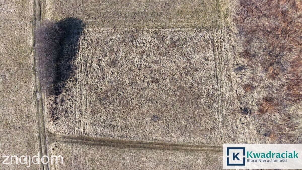 Dwie działki otulone naturą w Nowym Gliniku - zdjęcie 5