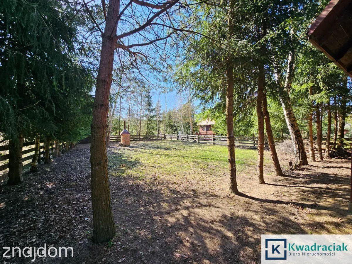 Nozdrzec – urokliwy domek rekreacyjny - zdjęcie 19