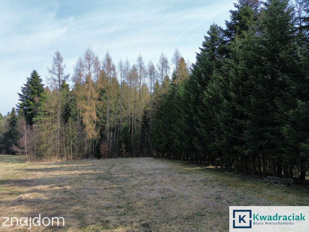 Bączal Dolny – dom z widokiem na las - zdjęcie 20