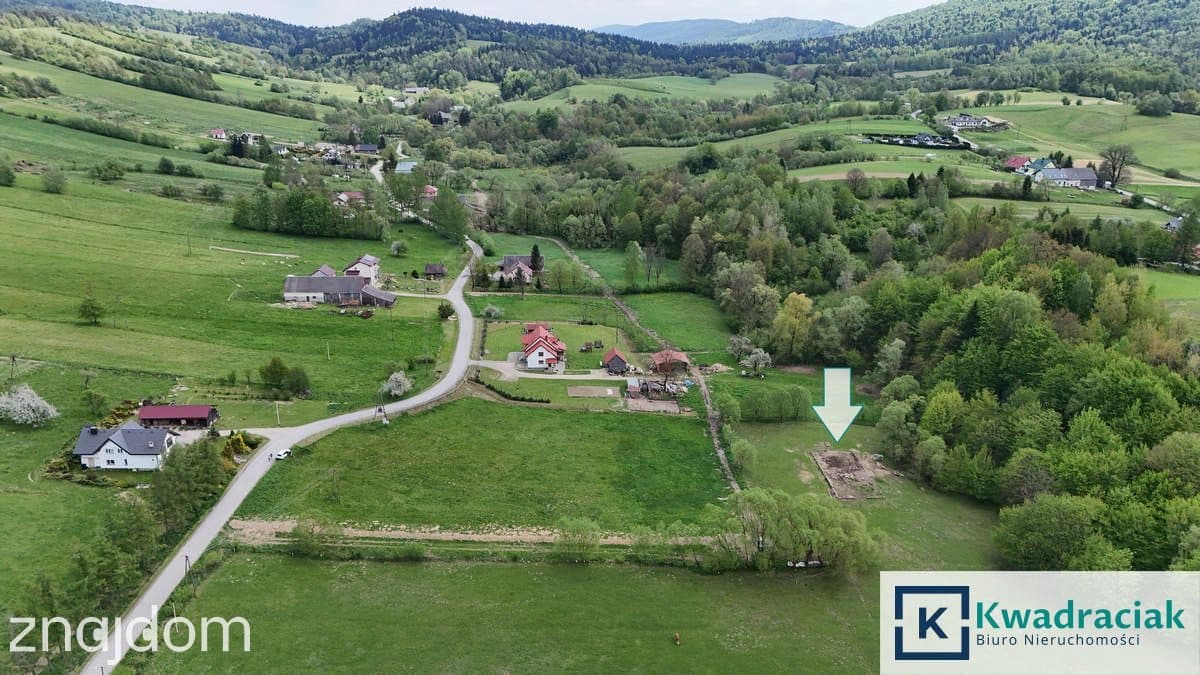 Paszowa, gm. Olszanica - działka budowlana 33a - zdjęcie 2