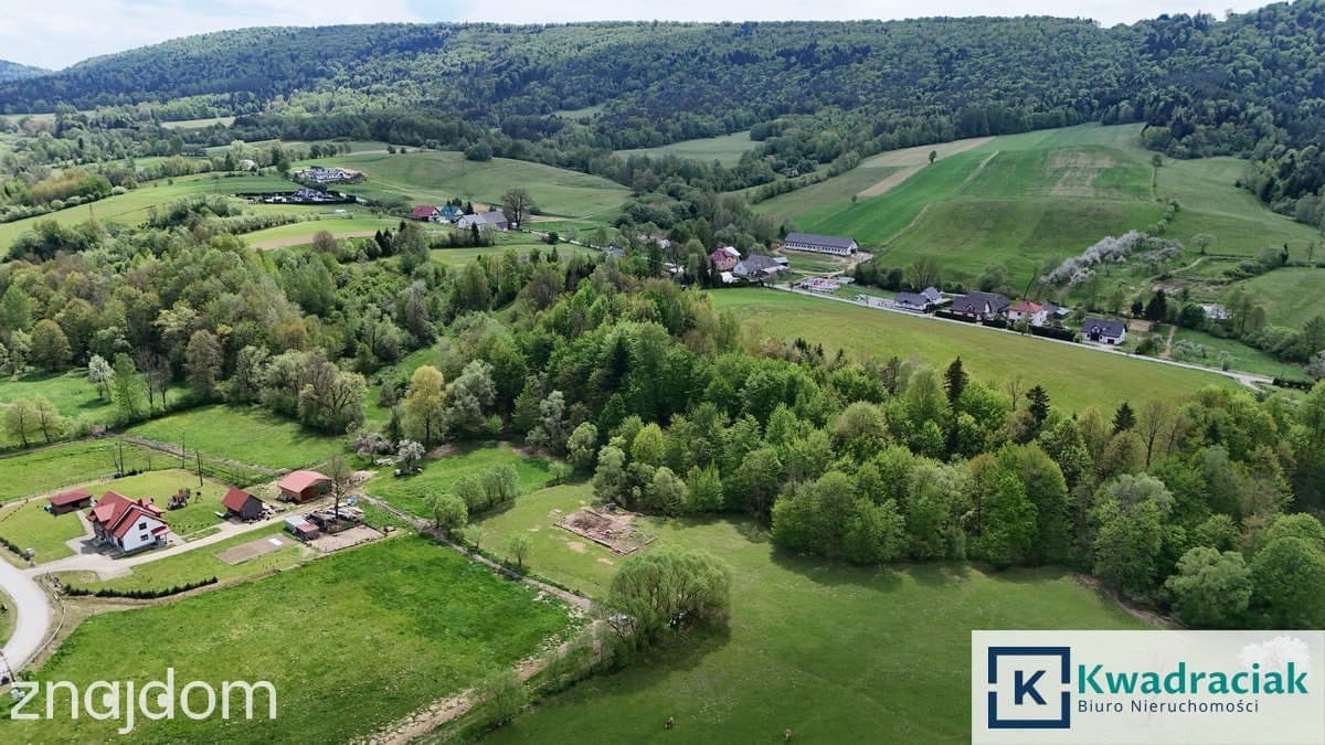 Paszowa, gm. Olszanica - działka budowlana 33a - zdjęcie 5