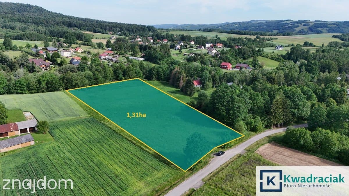 Działka rolna 1,31 ha w Krasnej – media, zabudowa