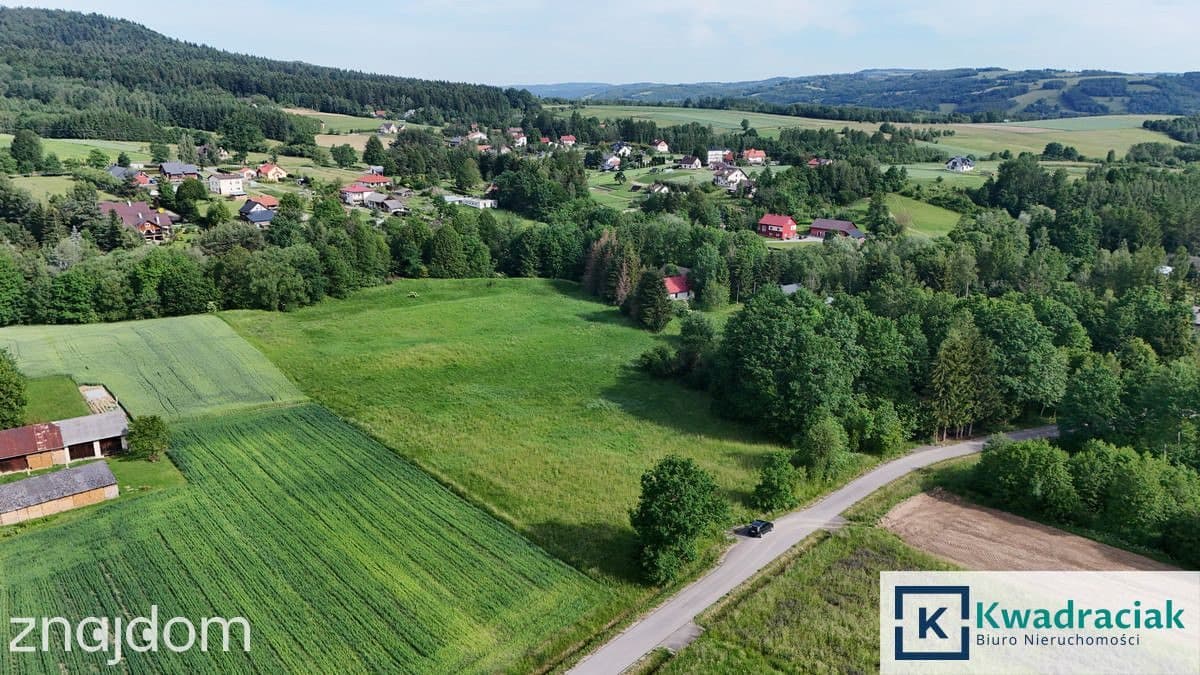 Działka rolna 1,31 ha w Krasnej – media, zabudowa - zdjęcie 2