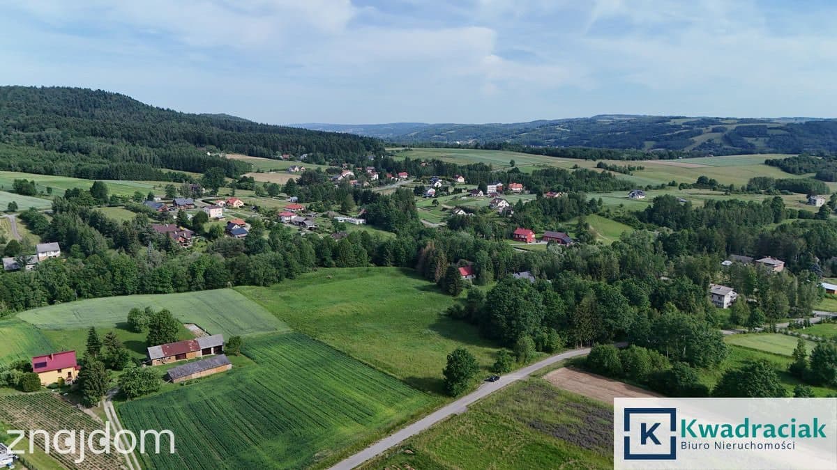 Działka rolna 1,31 ha w Krasnej – media, zabudowa - zdjęcie 3