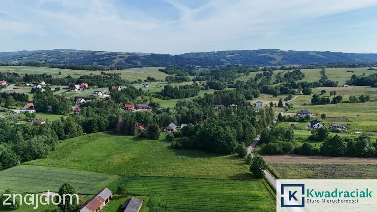 Działka rolna 1,31 ha w Krasnej – media, zabudowa - zdjęcie 4