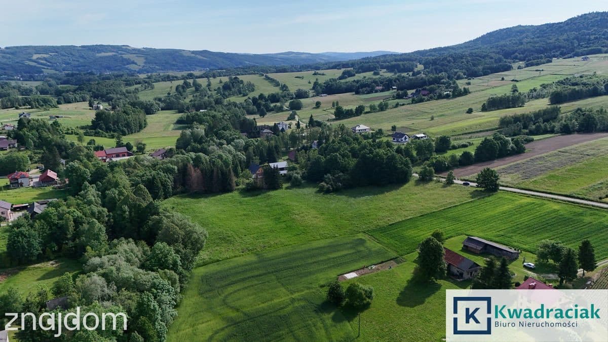 Działka rolna 1,31 ha w Krasnej – media, zabudowa - zdjęcie 5