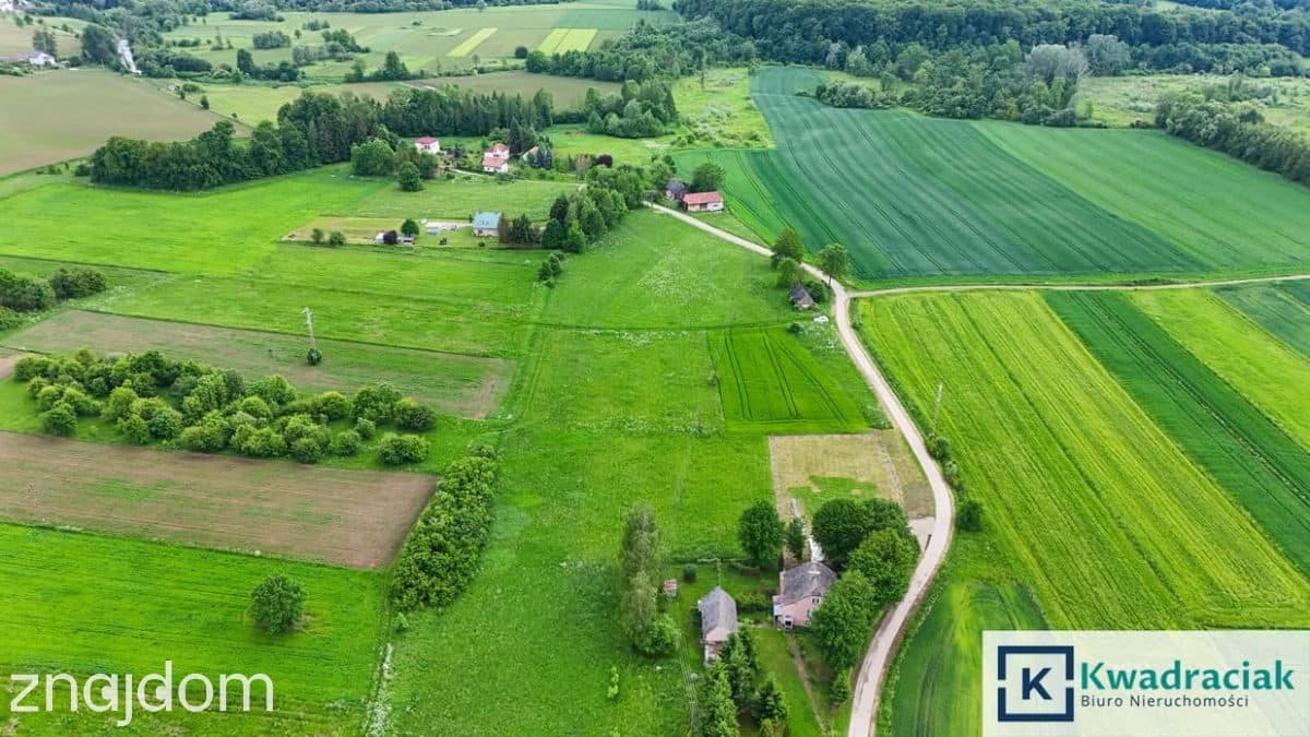 Szebnie – duża działka z WZ na dom jednorodzinny - zdjęcie 2
